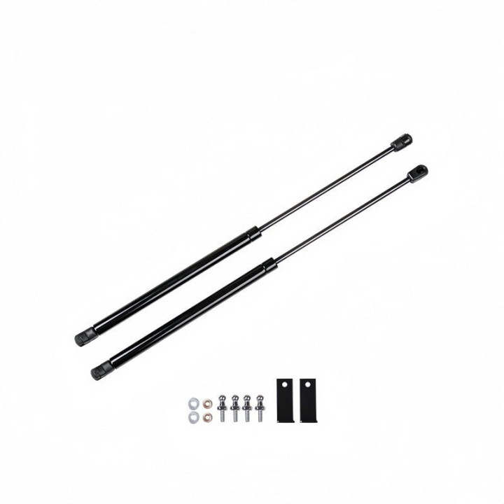 Hood Lift Support Struts for Geely EX5 / EX5 EM-i / Starray EM-i