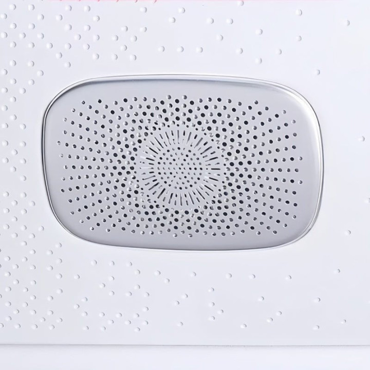 Rear Tweeter Speaker Grilles for Leapmotor B10 (2pcs)