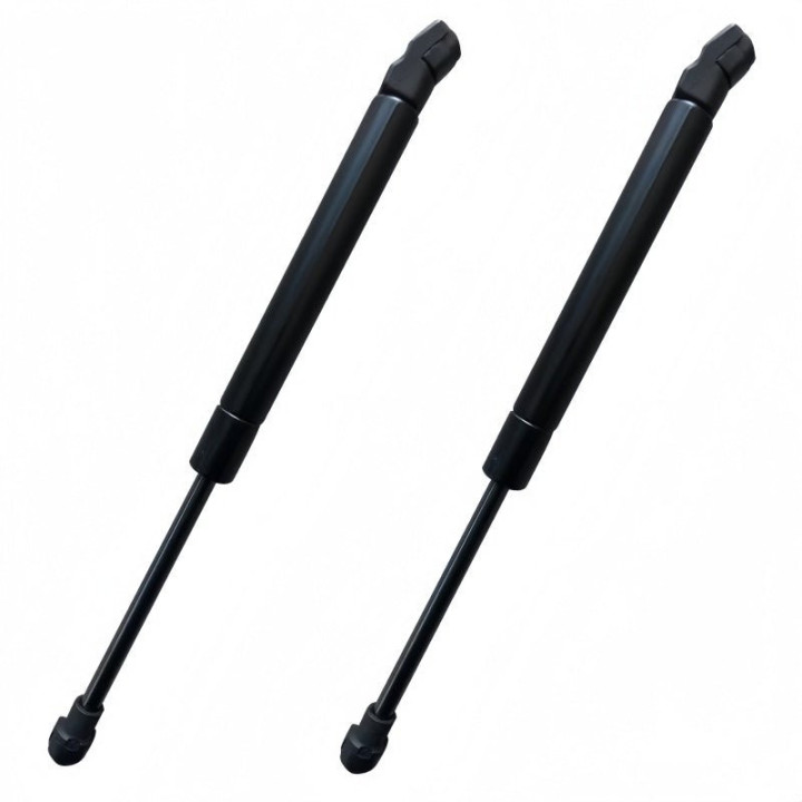 Hood Hydraulic Struts for Leapmotor B10/B05 (Dual Rod)