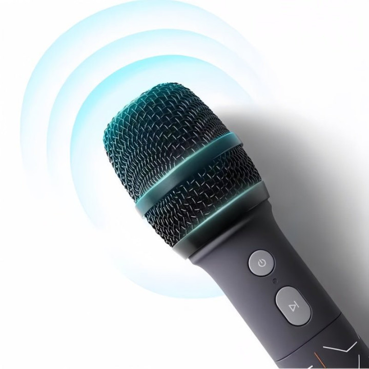 Genuine Zeekr UHF Wireless Microphones (2-Pack)