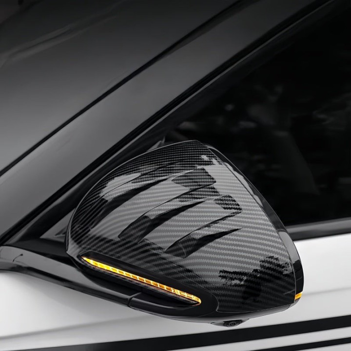 Rearview Mirror Protective Cover for BYD Seal 6 DM-i/Touring (2Pcs)