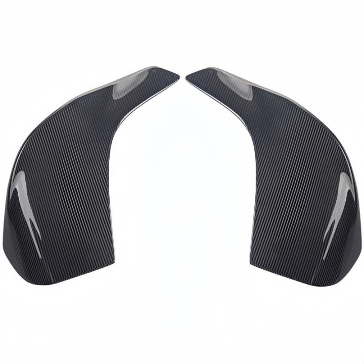 Gloss Black & Carbon Fiber Roof Spoiler for ZEEKR 001 (2 Pcs)