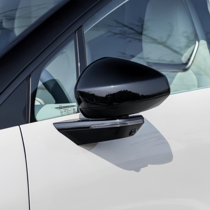 Mirror Cover Caps for ZEEKR X