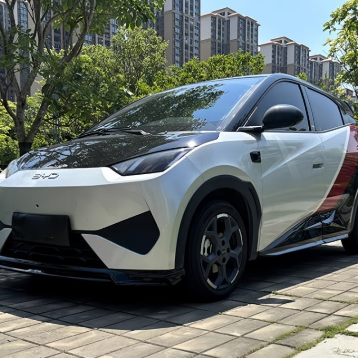 Full Body Kit for BYD Dolphin Surf/Seagull