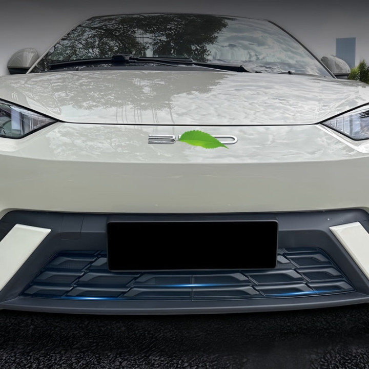 Grille Guard for BYD Dolphin Surf & Seagull