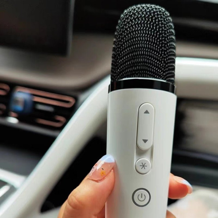 For BYD Wireless Microphone