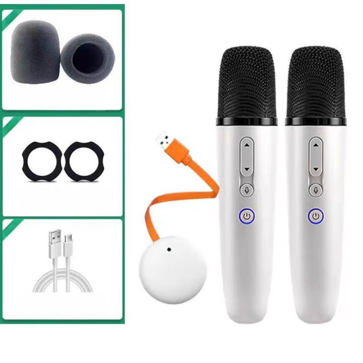For BYD Wireless Microphone