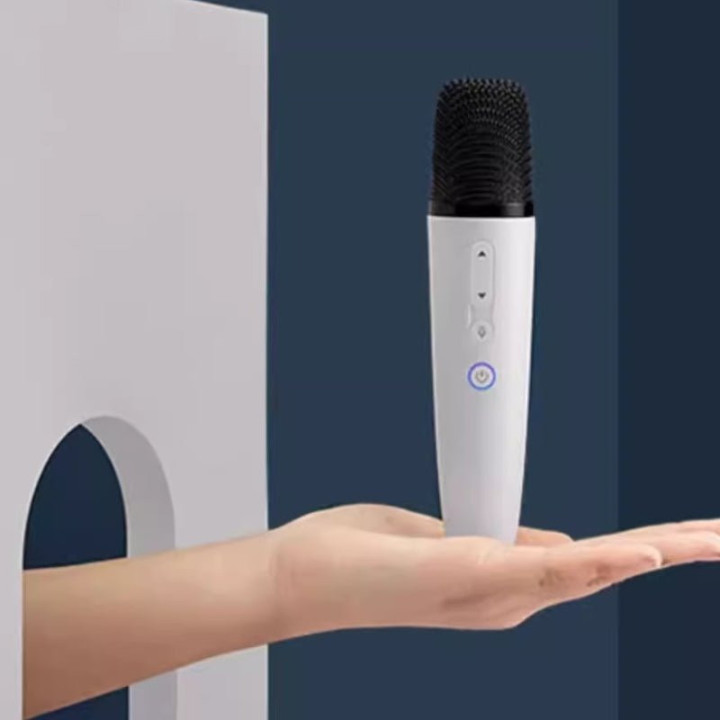 For BYD Wireless Microphone