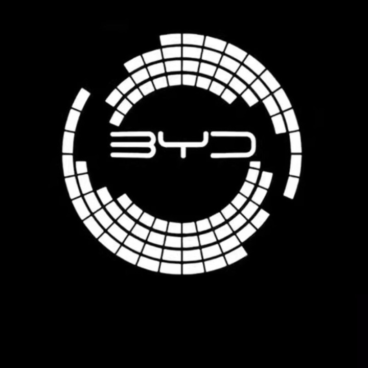 For BYD SEAL Door Decoration Welcome Lights Puddle Light