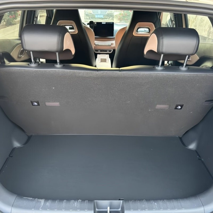 Trunk Organizer Box for BYD Dolphin Surf/Seagull