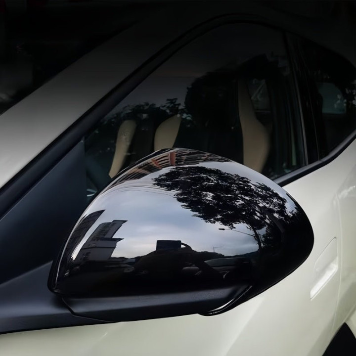 Mirror Covers for BYD Dolphin Surf/Seagull (2 Pcs)