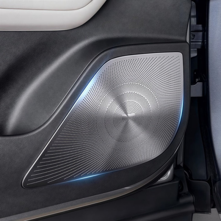 Door Speaker Covers for BYD ATTO 2 (4 Pcs)
