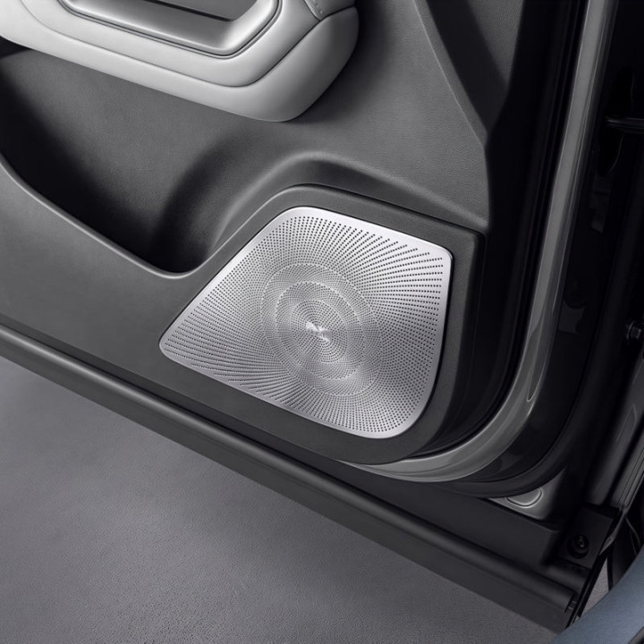 Door Speaker Covers for BYD ATTO 2 (4 Pcs)