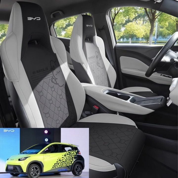 Seat Protectors for BYD Dolphin Surf & Seagull