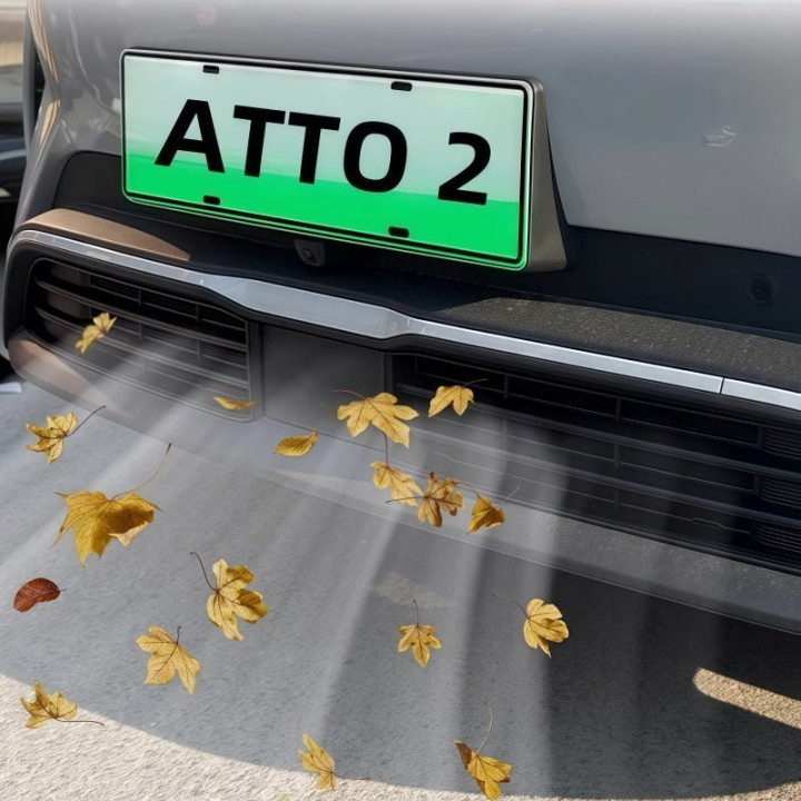Grille Proof Net for BYD Atto 2