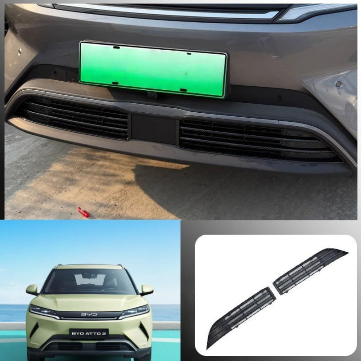 Grille Proof Net for BYD Atto 2