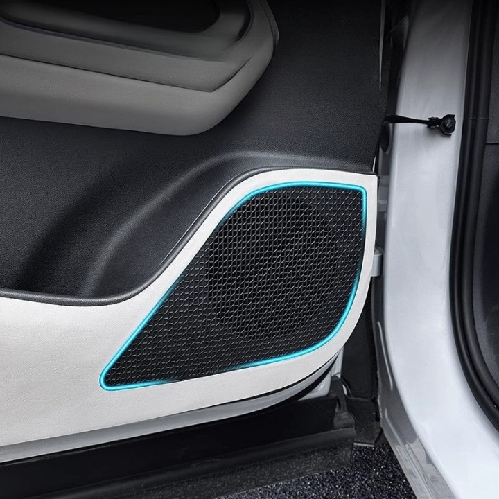 For BYD ATTO 2 Door Kick Guard (4 Pcs)