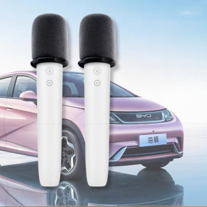 BYD Wireless Microphone Karaoke Mic for BYD