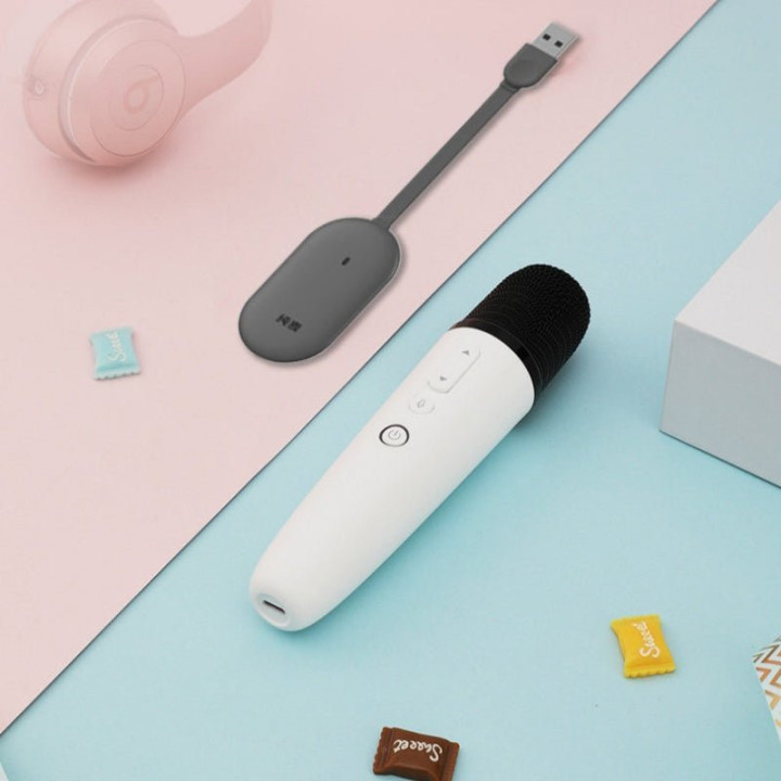 BYD Wireless Microphone Karaoke Mic for BYD