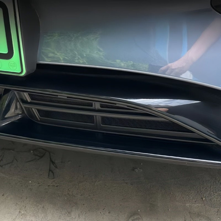 Grille Proof Net for BYD Seal