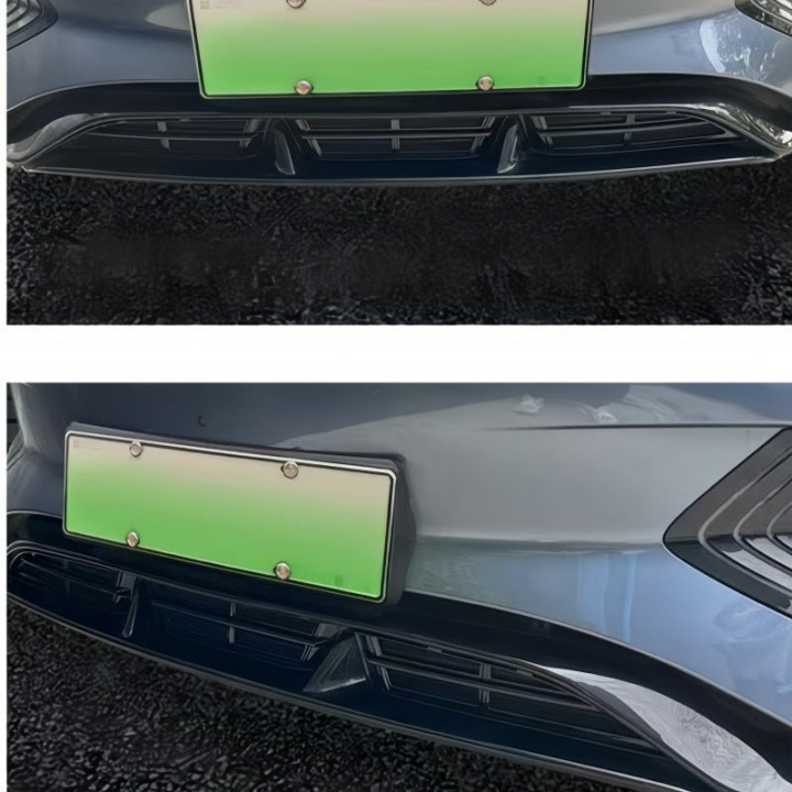 Grille Proof Net for BYD Seal
