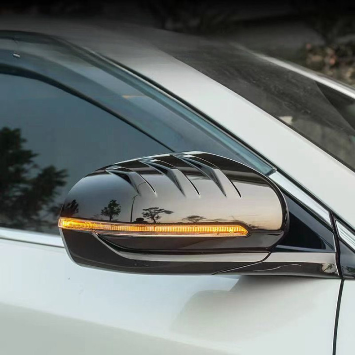 Mirror Protective Cover for BYD (2 Pcs)