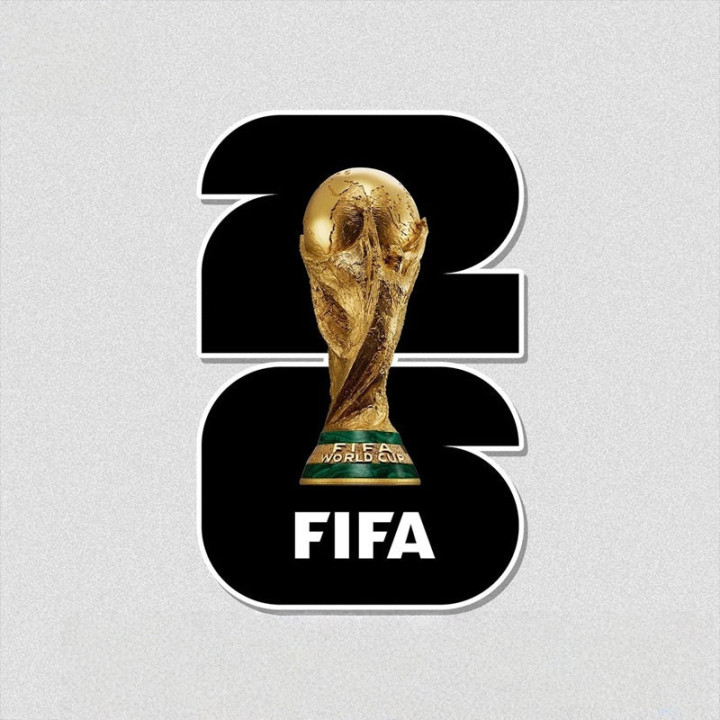 Naklejka World Cup 2026 w kolorze do BYD – zdjęcie 3