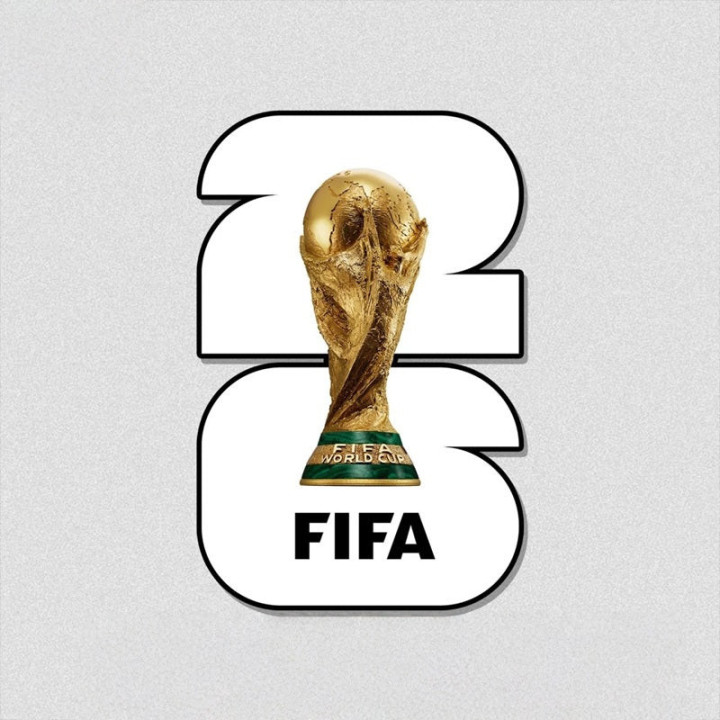 Naklejka World Cup 2026 w kolorze do BYD – zdjęcie 4