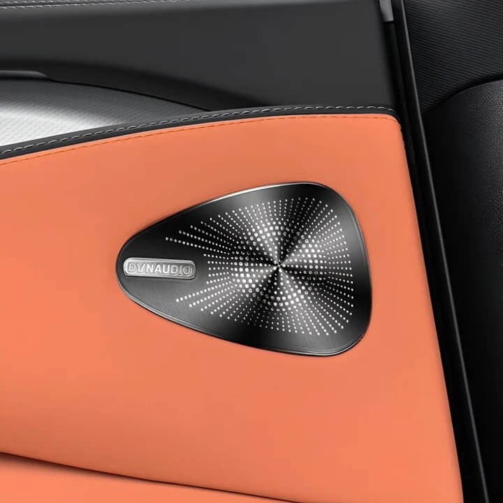 Nakładki na elementy audio do BYD Sealion 7 – zdjęcie 6