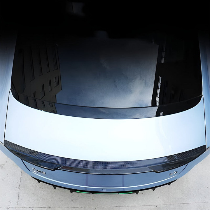 Tylny spoiler w wybranym stylu do BYD Seal – zdjęcie 8